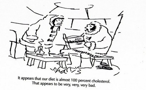 Cholerterol Cartoon